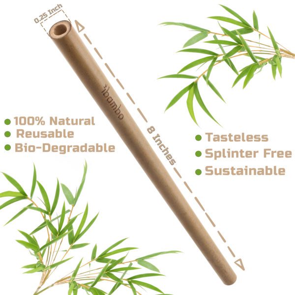 REVISISON straw infographic1