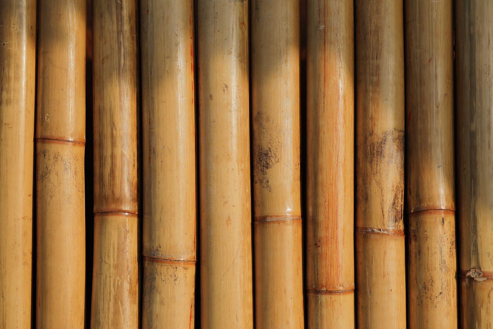 bamboo products
