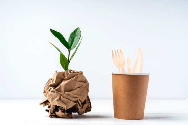 bamboo plant with bamboo products next to it