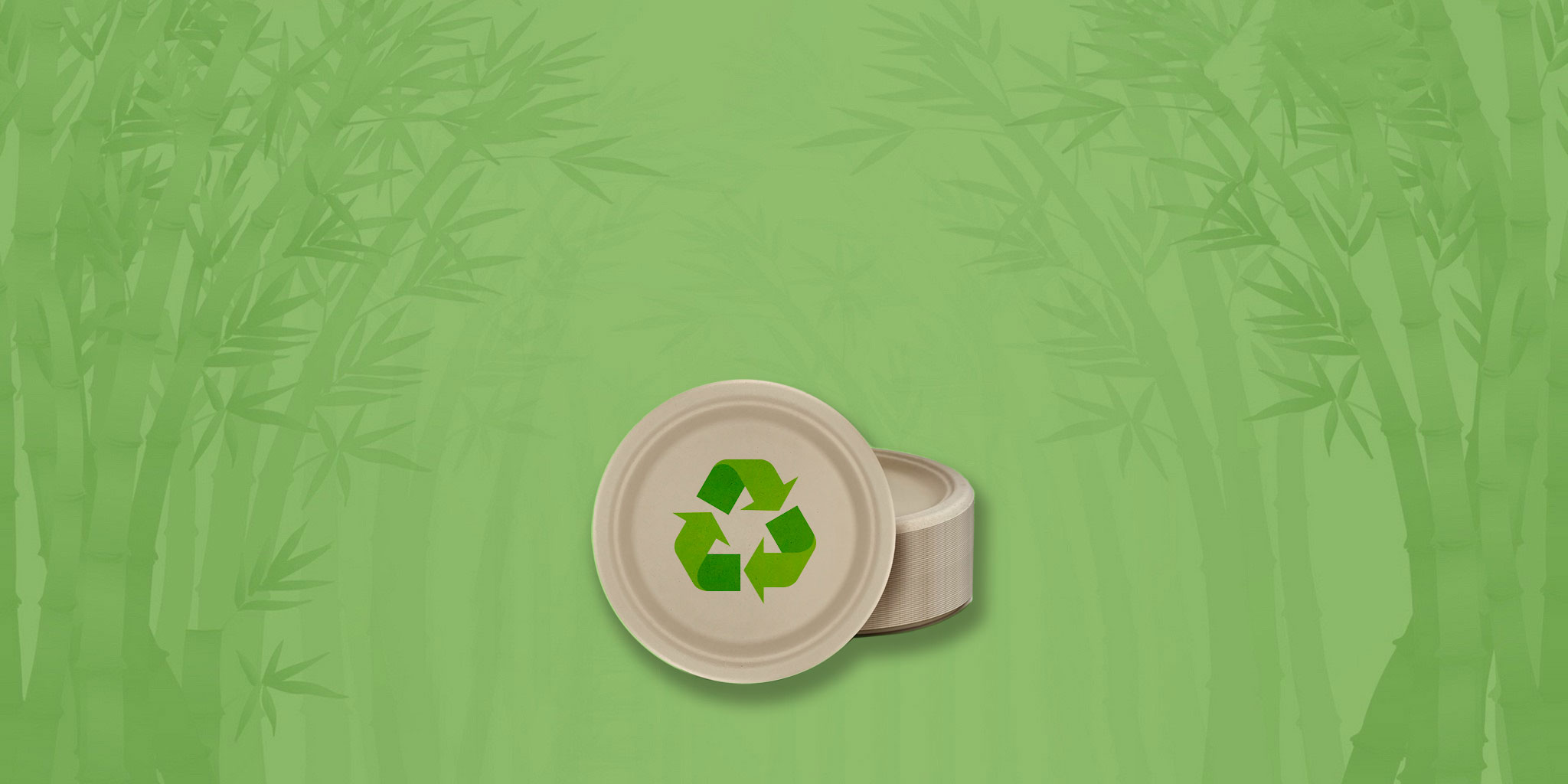 disposable bamboo paper plates