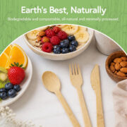 biodegradable natural cutlery sets biodegradable natural cutlery sets