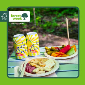 bamboo products being used on a camping table