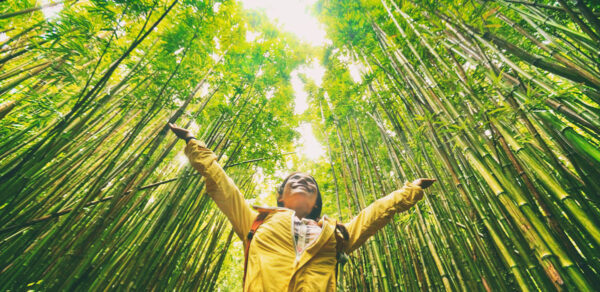 delighted woman in a bamboo forest